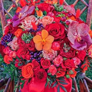 Meet your Posher, Nijole